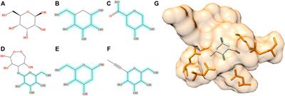 Pocket2Drug: An Encoder-Decoder Deep Neural Network for the Target-Based Drug Design